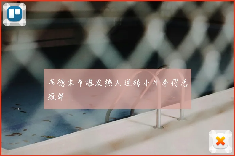 韦德末节爆发热火逆转小牛夺得总冠军
