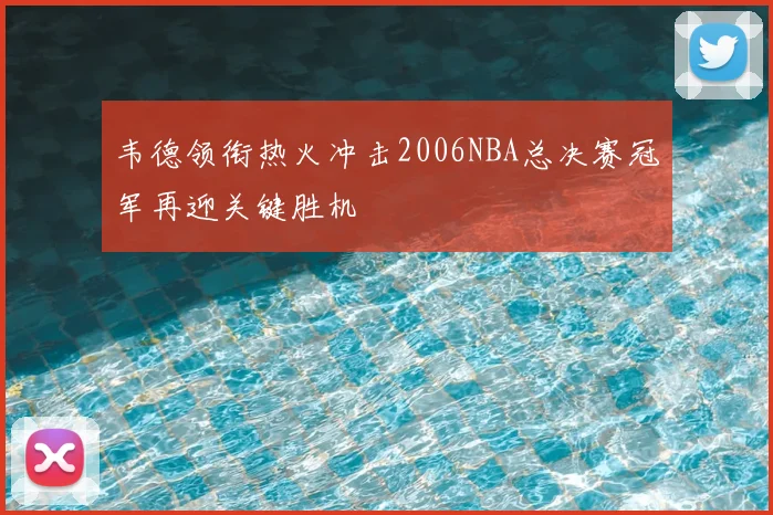 韦德领衔热火冲击2006NBA总决赛冠军再迎关键胜机