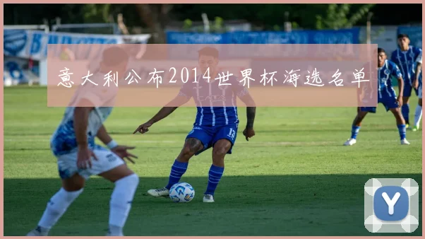 意大利公布2014世界杯海选名单