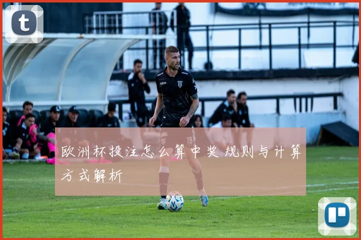 欧洲杯投注怎么算中奖 规则与计算方式解析