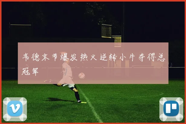 韦德末节爆发热火逆转小牛夺得总冠军